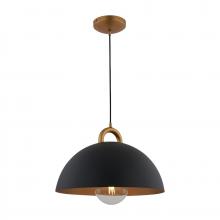 Artcraft AC12000BB - Pantheon - 1-Light Pendant - 15.75" - Black/Rust Brass